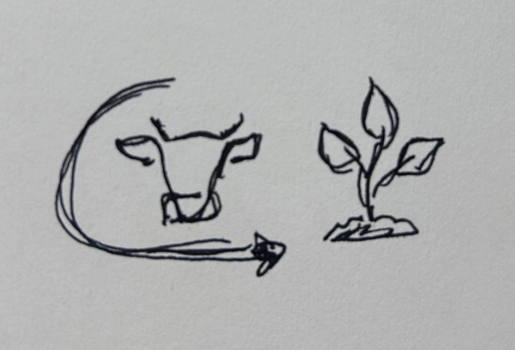 #9 The silent veganism evolution in&nbsp;pastry.